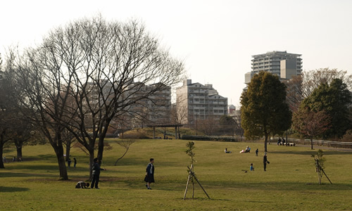 国分寺市