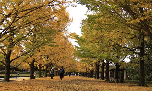 立川市