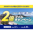 ANA 2倍マイルキャンペーン