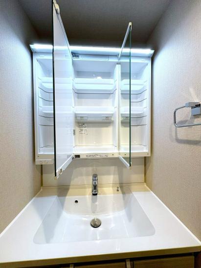 グランイーグル多摩川アリビオ-48-洗面