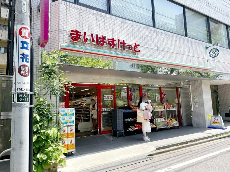 エルアルカサル山王-39-スーパー