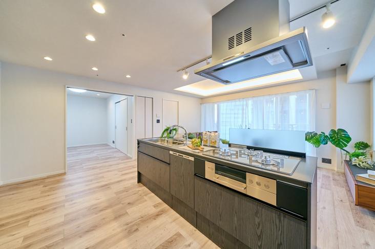 ザ・パークタワー東京サウス-4-キッチン