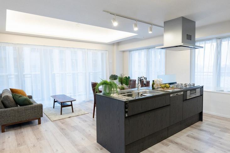 ザ・パークタワー東京サウス-16-キッチン