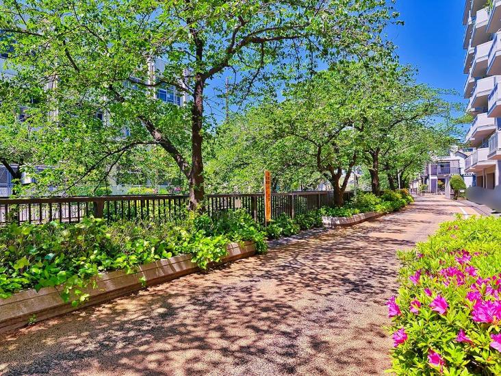 東急ドエル・アルス石川台　Ｂ棟-7-その他