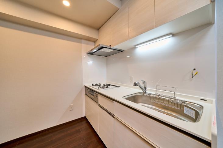 ライフレビュー多摩川-4-キッチン