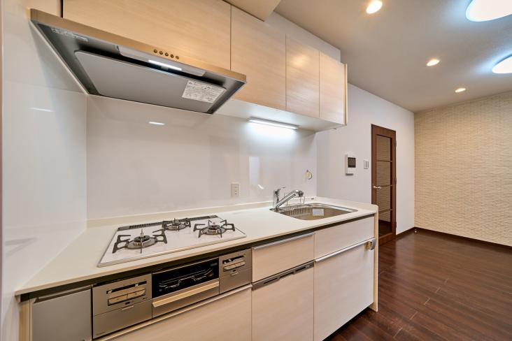 ライフレビュー多摩川-5-キッチン