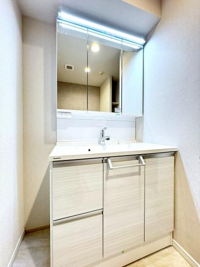 ライフレビュー多摩川-30-洗面