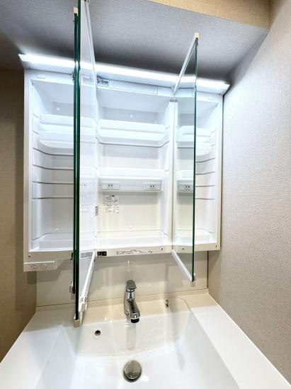 ライフレビュー多摩川-31-洗面