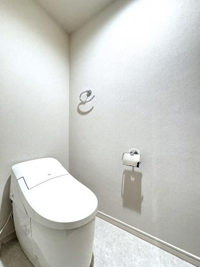 ライフレビュー多摩川-33-トイレ