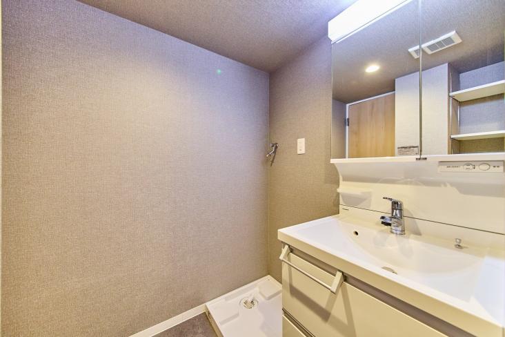 秀和目黒レジデンス-9-洗面