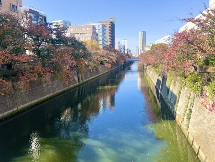 秀和目黒レジデンス-21-その他