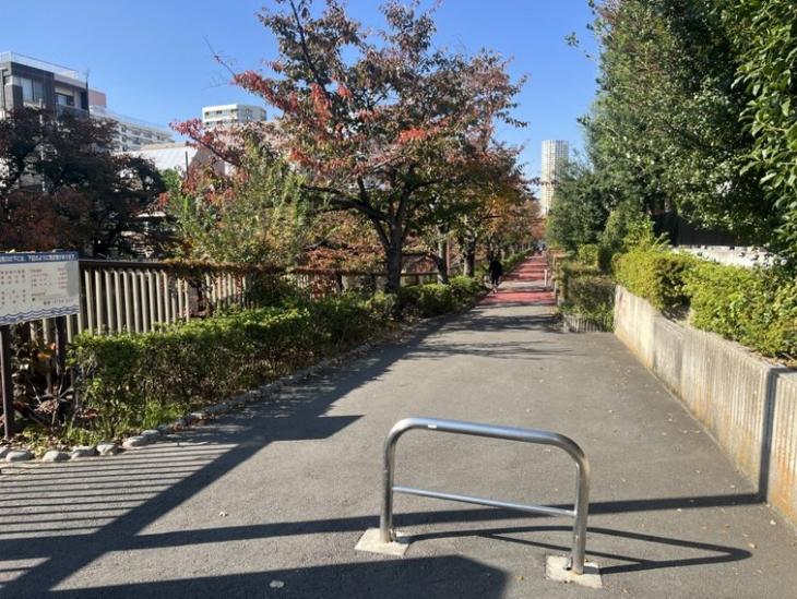 秀和目黒レジデンス-22-その他