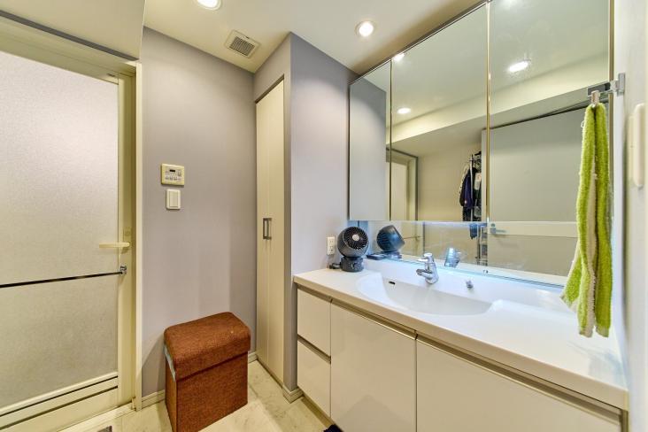 サンウッド品川天王洲タワー-12-洗面