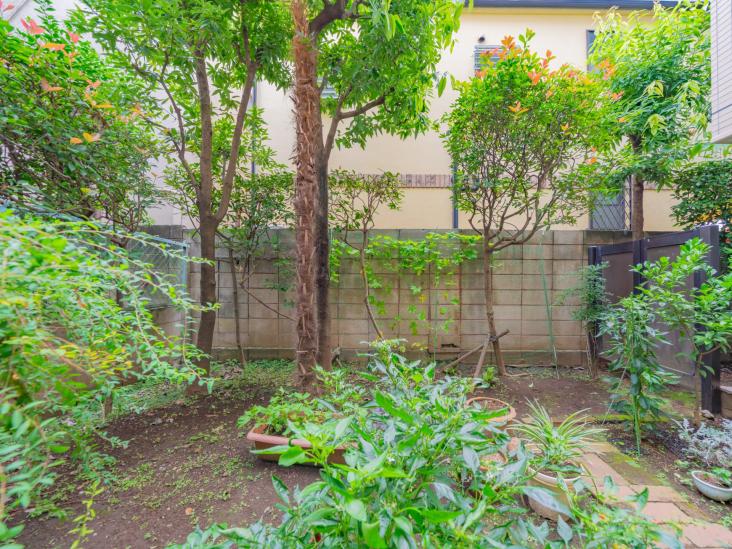 モンフォアイエ池上-12-庭