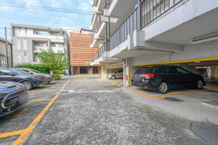 マンションニュー池上-19-駐車場