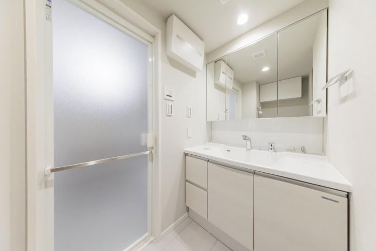 エンゼルハイム大森南第2-17-洗面