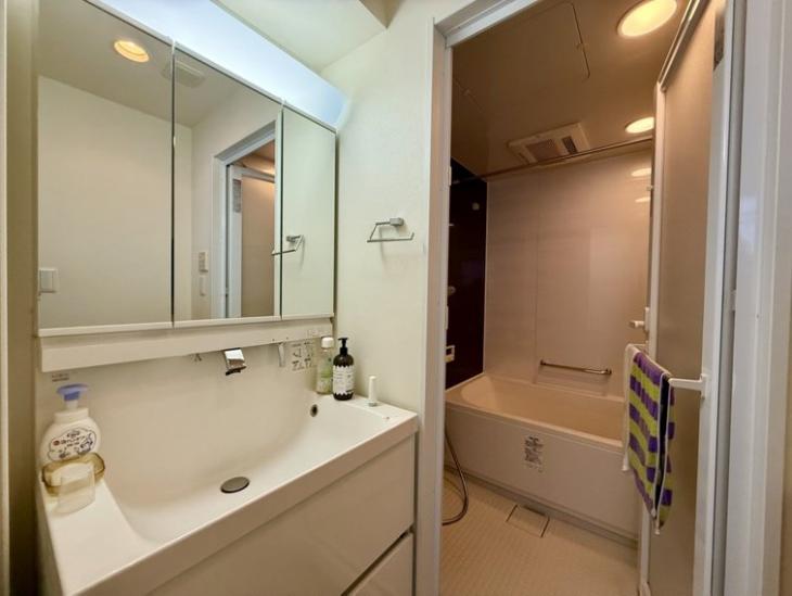 ハイツ第２目黒-12-洗面