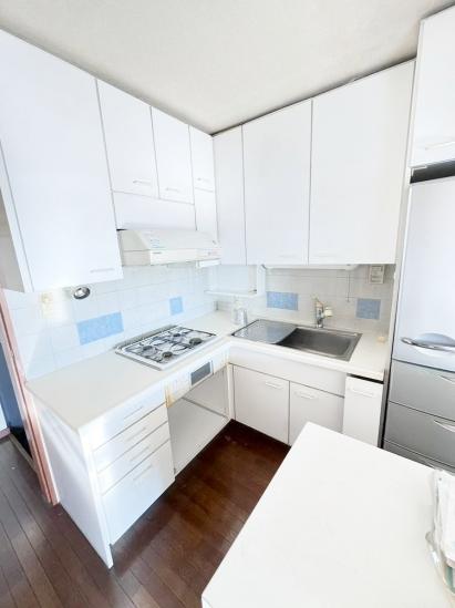 ダイアパレス上池台-4-キッチン