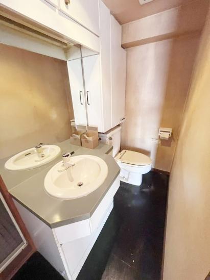 ダイアパレス上池台-7-洗面