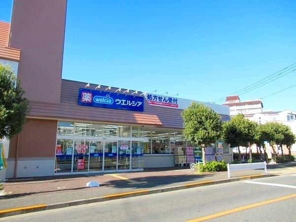 ダイアパレス上池台-13-ドラッグストア