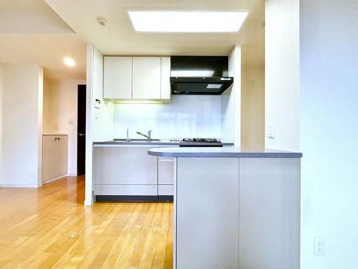 ルジェンテ白金台-0-リビング