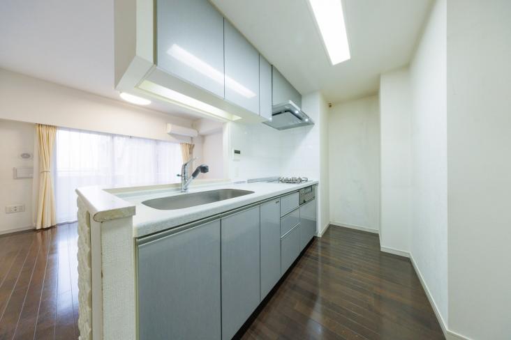 藤和シティホームズ池上駅前-8-キッチン