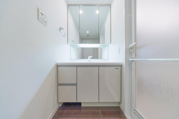藤和シティホームズ池上駅前-11-洗面