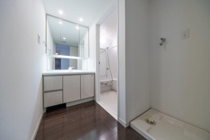 藤和シティホームズ池上駅前-12-洗面