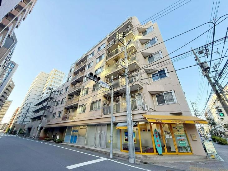 テイジン蒲田ビューハイツ-16-外観