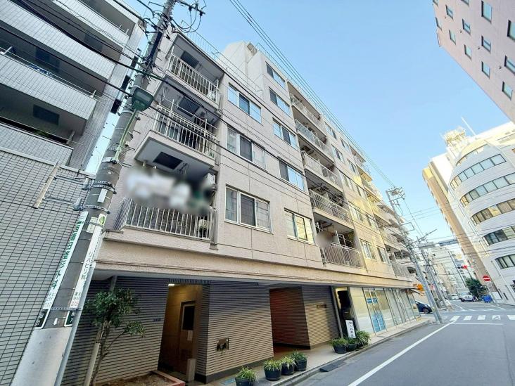 テイジン蒲田ビューハイツ-17-外観