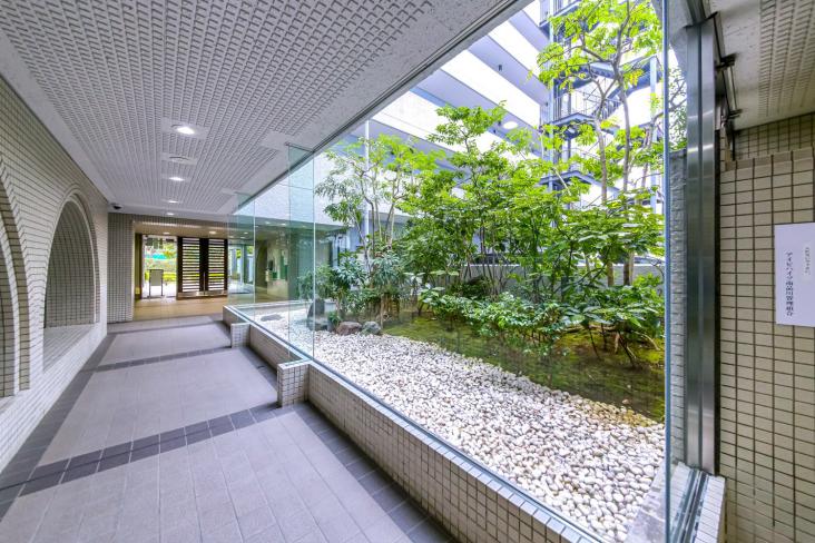 アイビハイツ南品川-9-エントランス