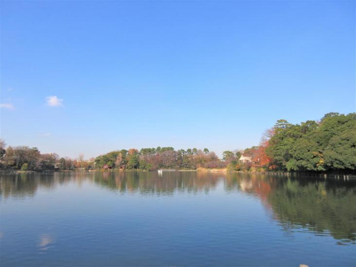 日商岩井洗足池マンション-38-公園