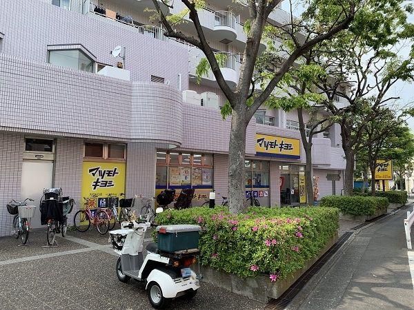 ニュー矢口フラワーマンション-12-ドラッグストア