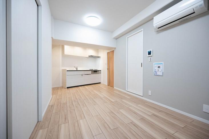 ハイネス日暮里-3-室内