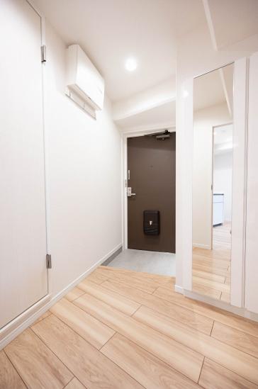 ハイネス日暮里-15-玄関