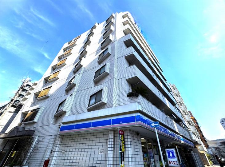 ハイネス日暮里-19-外観