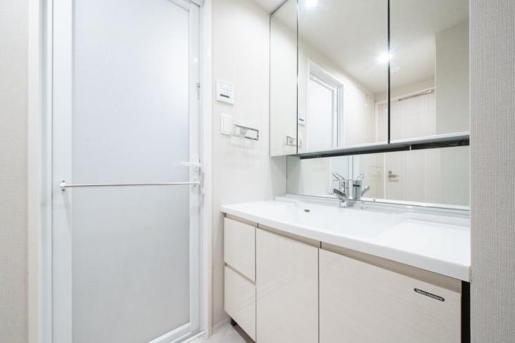 セイガステージ浅草　THE　GRACE-5-洗面