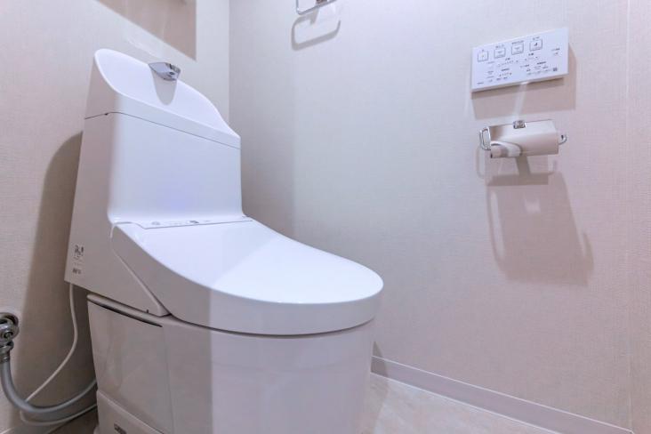 セザール第2新小岩-11-トイレ