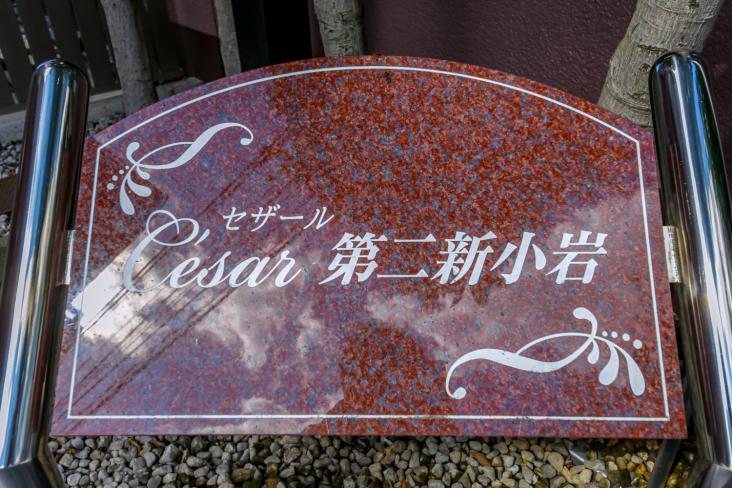 セザール第2新小岩-19-その他現地