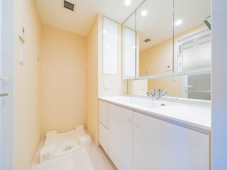 シティテラス平井-14-洗面