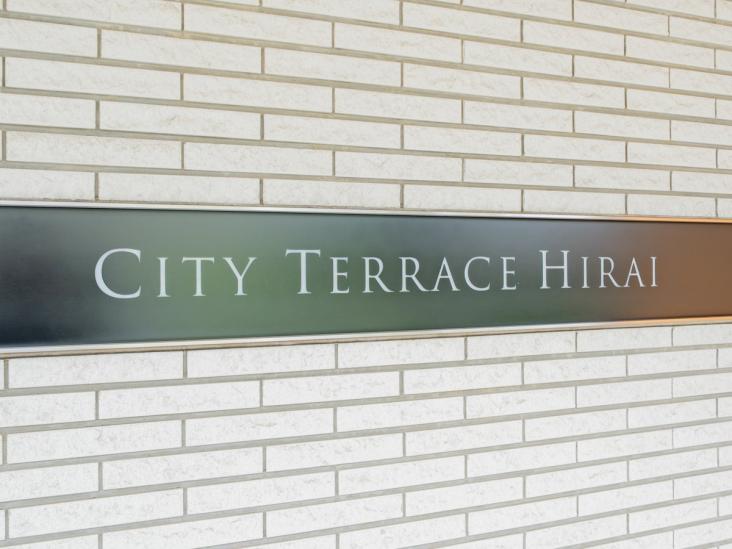 シティテラス平井-21-その他現地