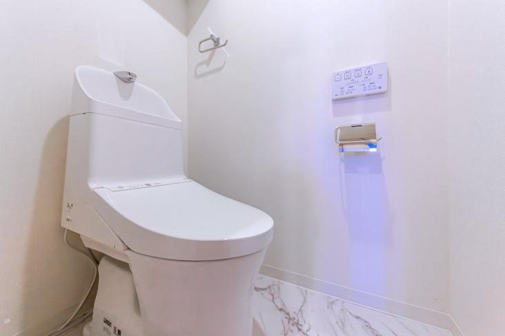 ステイツ小岩細田せせらぎ通り-11-トイレ