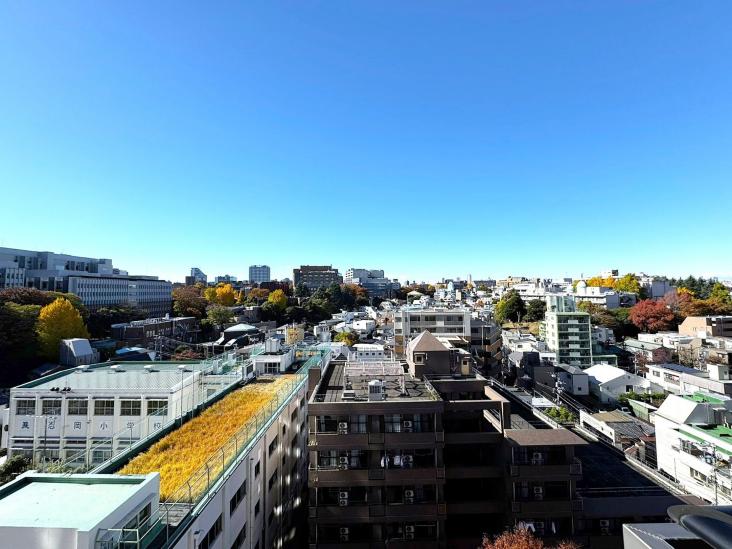 ルネッサンスタワー上野池之端-2-眺望