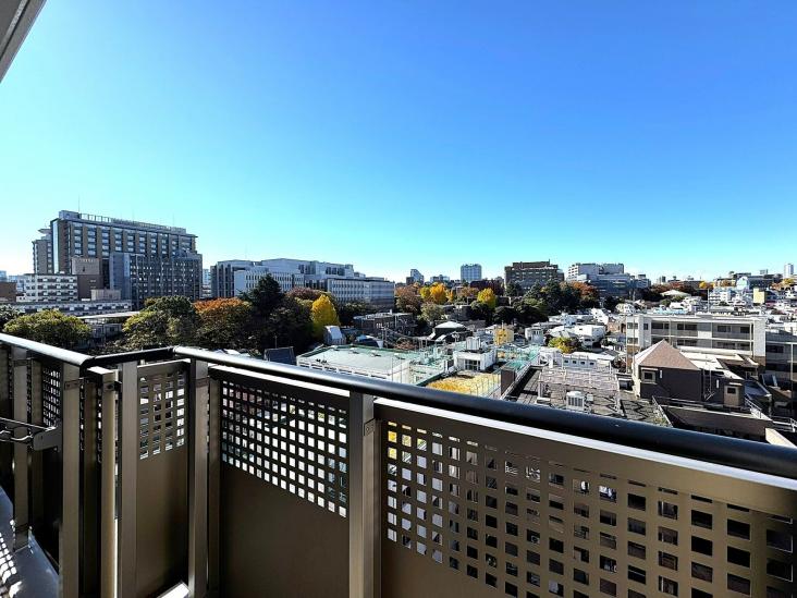 ルネッサンスタワー上野池之端-26-眺望