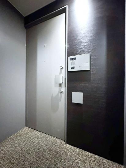 ルネッサンスタワー上野池之端-29-玄関