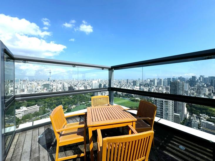 ルネッサンスタワー上野池之端-31-共有部分