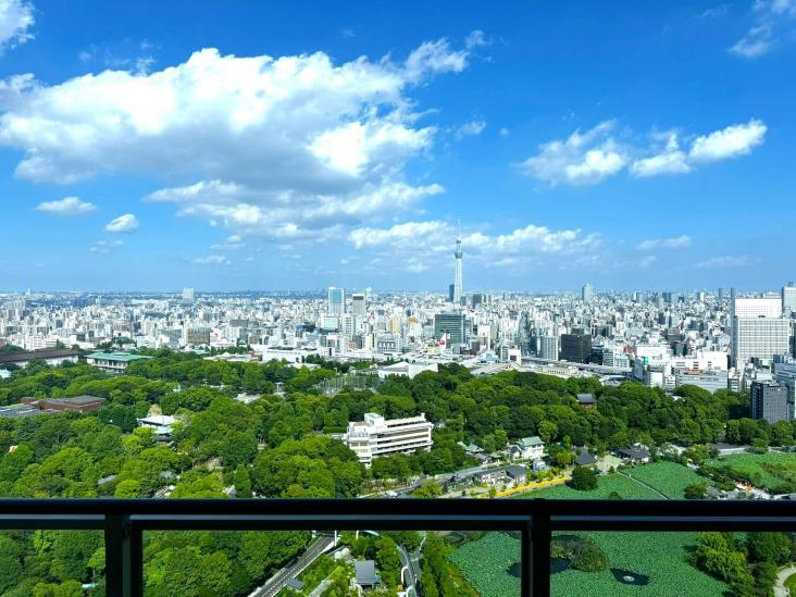 ルネッサンスタワー上野池之端-56-眺望