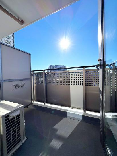 ルネッサンスタワー上野池之端-59-バルコニー