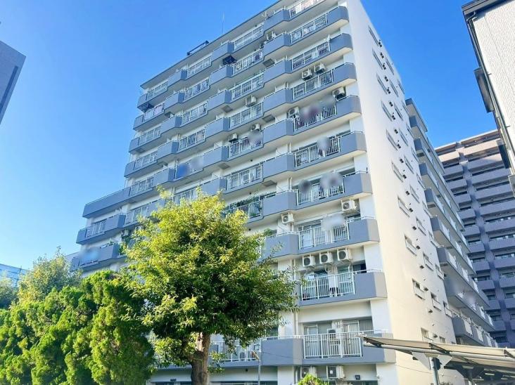 朝日プラザ亀戸-3-外観