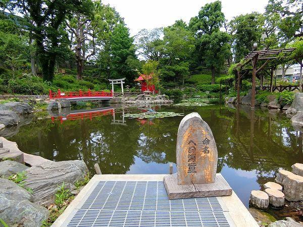 ドミール千駄木-12-公園